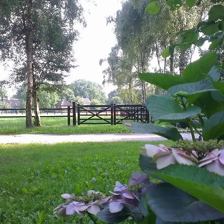 Berk En Heide * Rosmalen