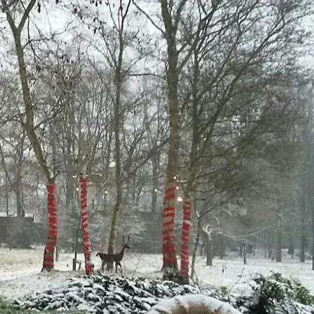 Apartament Berk En Heide Rosmalen