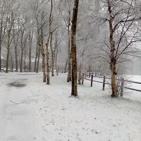 Berk En Heide * Rosmalen