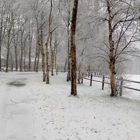 Berk En Heide * Rosmalen