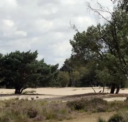 Διαμέρισμα Berk En Heide
