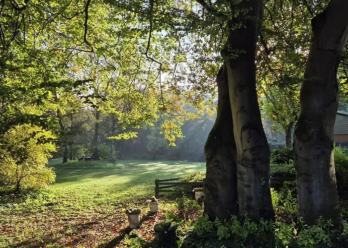Apartmán Berk En Heide Rosmalen