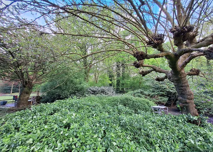 Appartamento Berk En Heide *