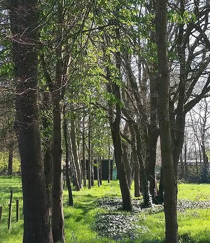 Berk En Heide Rosmalen