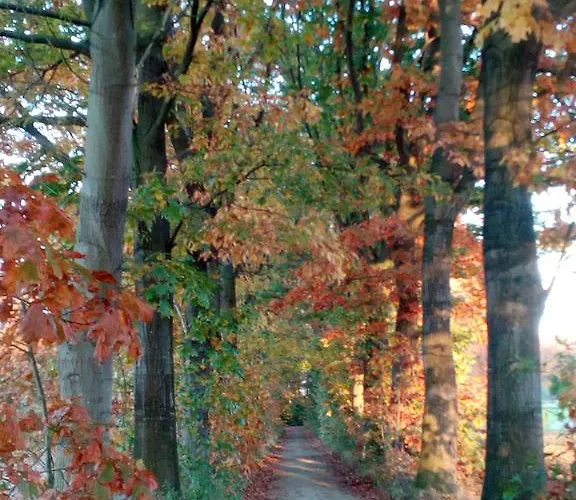 Berk En Heide Appartamento *