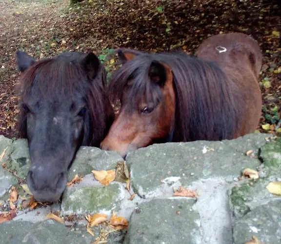 Appartamento Berk En Heide
