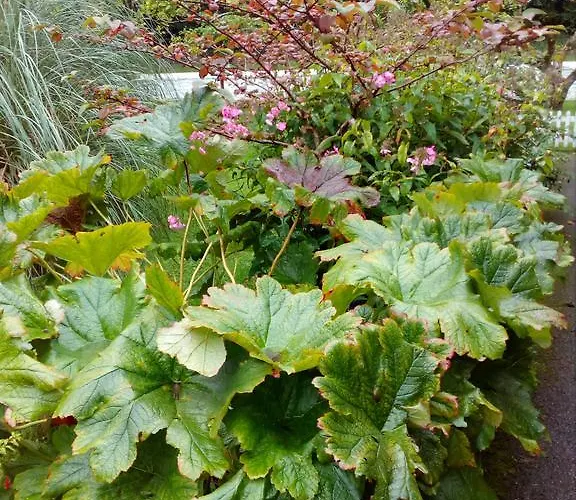Berk En Heide Rosmalen