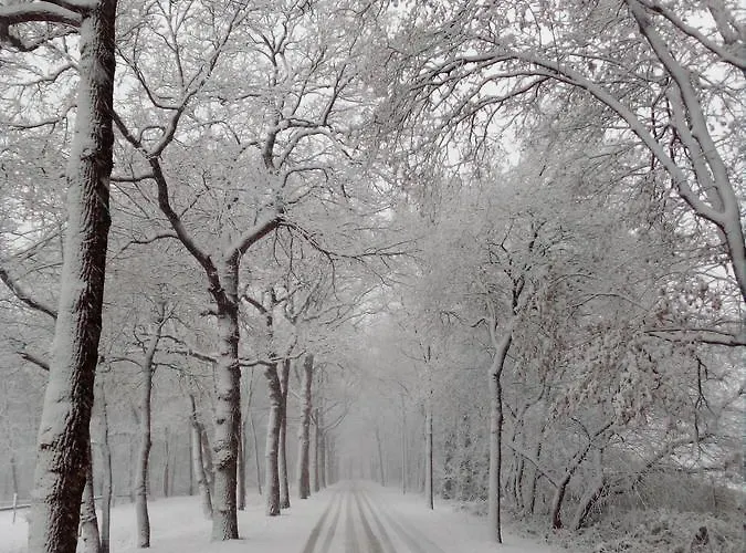 Apartmán Berk En Heide Rosmalen