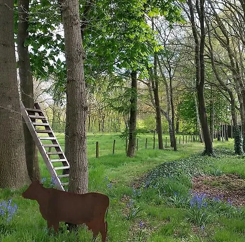 Appartamento Berk En Heide *