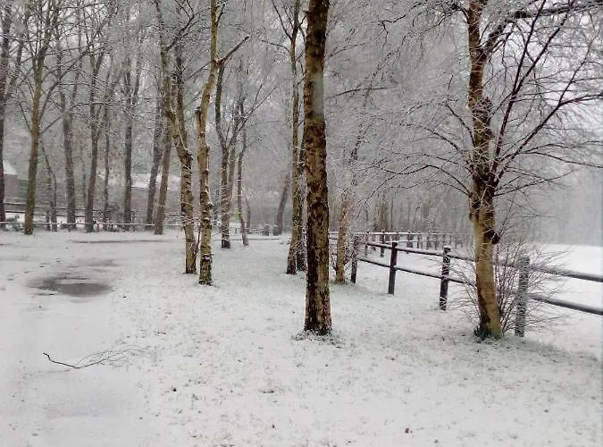 Berk En Heide * Rosmalen