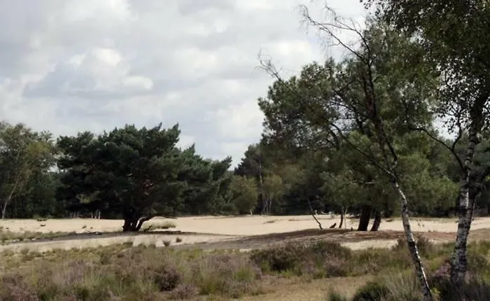 Apartmán Berk En Heide