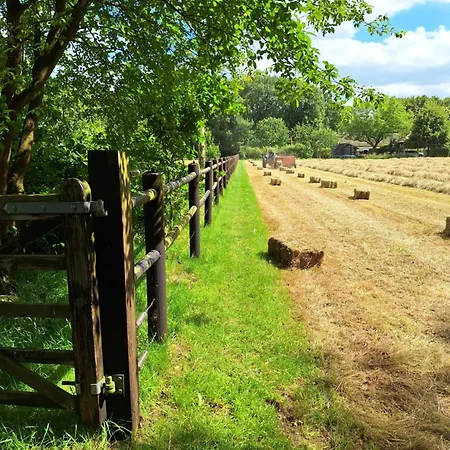 Berk En Heide * Rosmalen