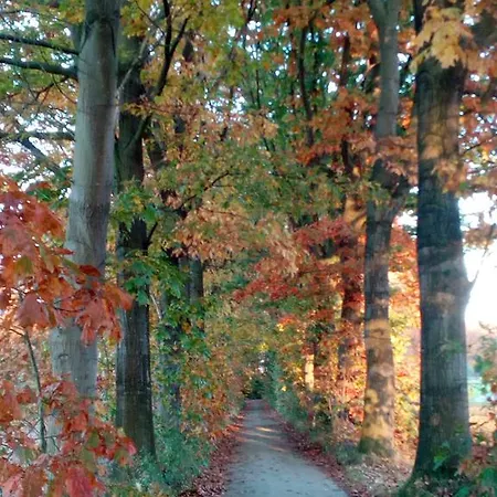 Berk En Heide Lägenhet *