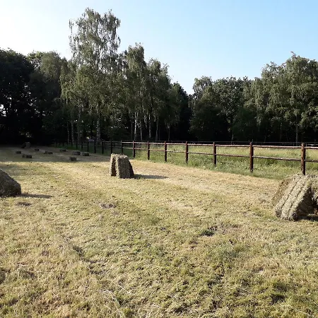 Berk En Heide Rosmalen