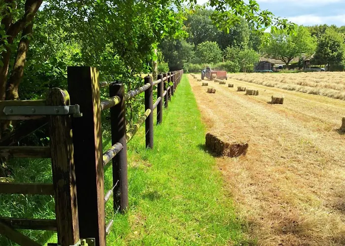 Berk En Heide * Rosmalen