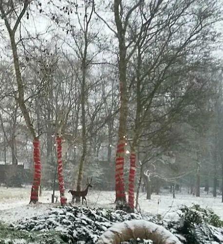 Apartment Berk En Heide Rosmalen