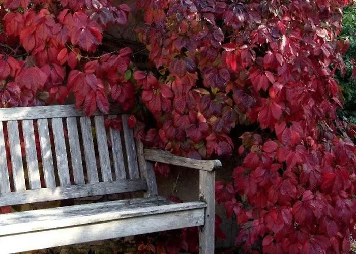 Berk En Heide Apartment