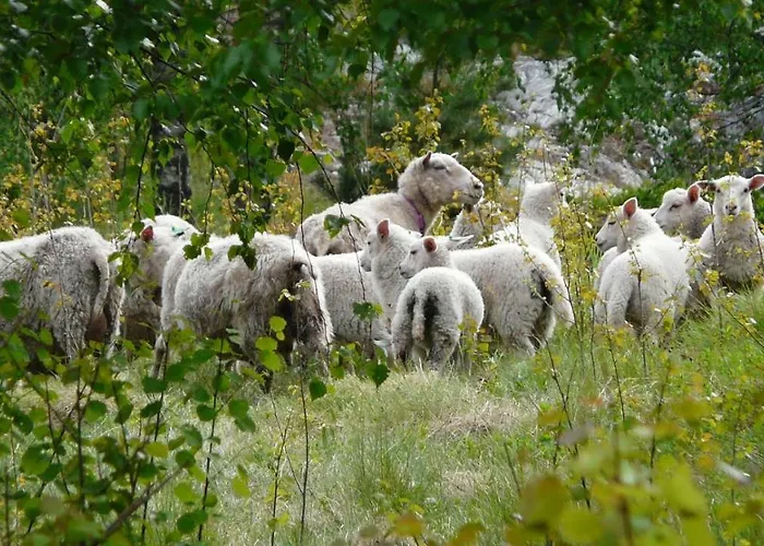Apartment Berk En Heide
